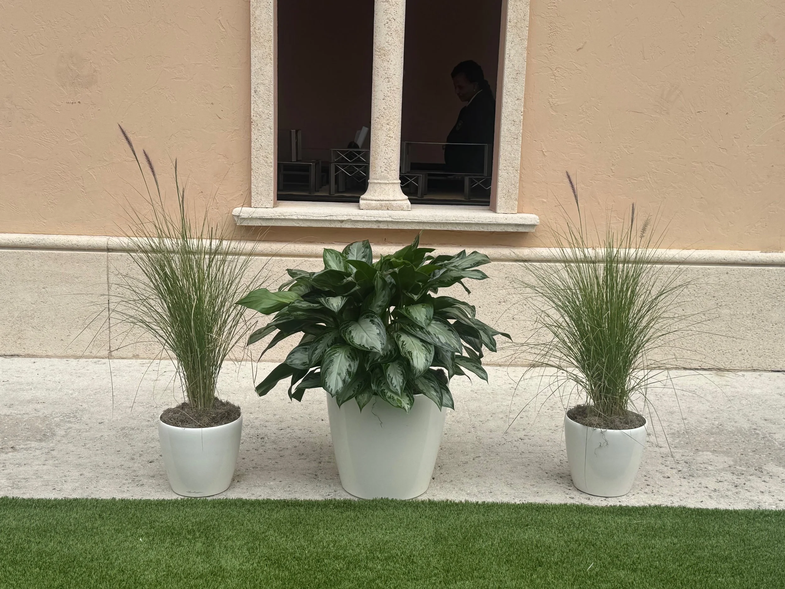 Temporary Tropics l Trusted + Top Live Foliage Rentals l Serving the State of Florida l Highly Rated + Recommended Premier Vendor Partner for Premium Plant Rentals in South Florida, Central Florida, West Florida and North Florida