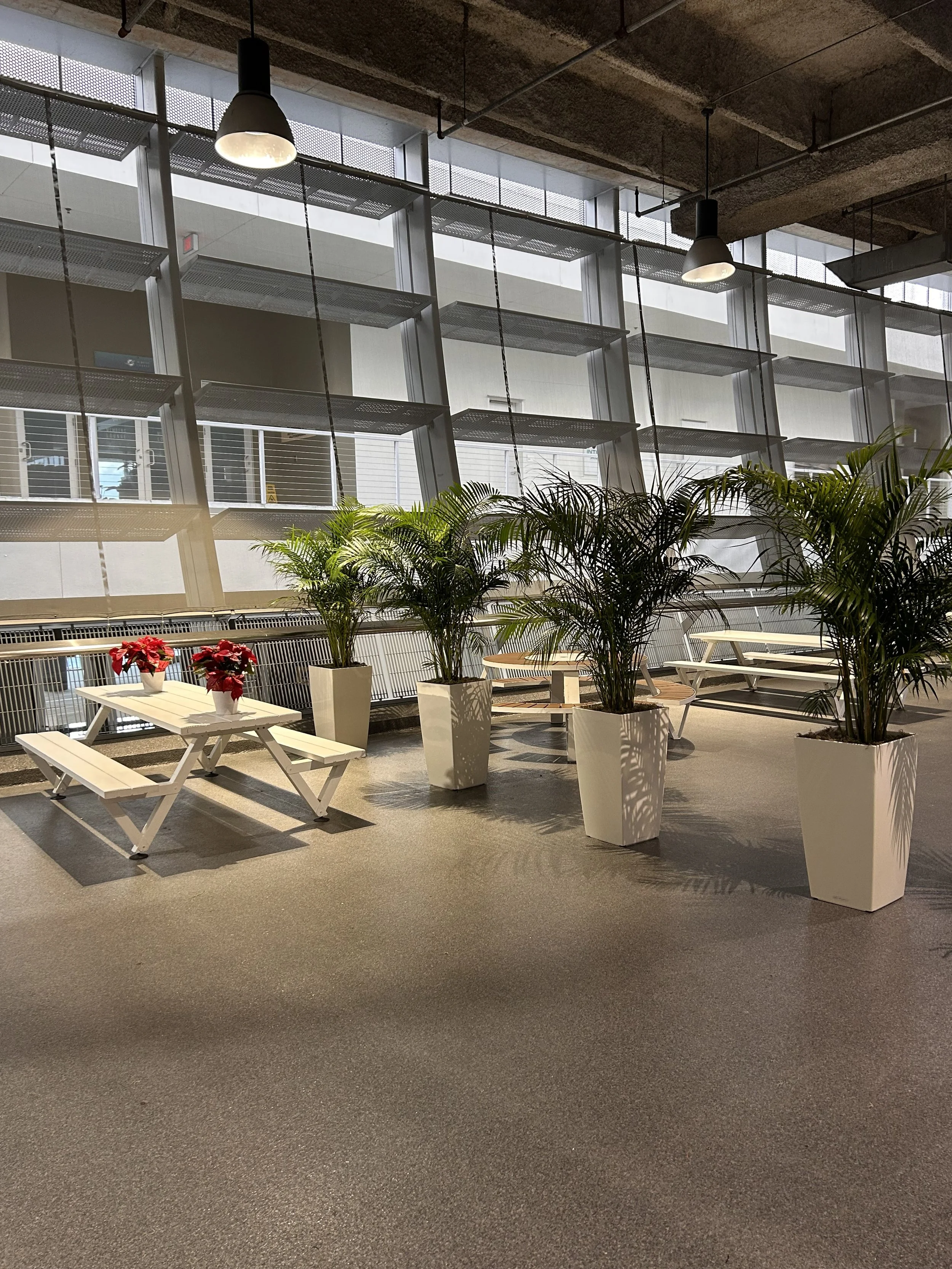 Temporary Tropics did the live foliage for the Miami Dolphins Alumni Foundation at the Hard Rock Stadium in Miami - Florida in December 2025