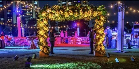 Temporary Tropics l Trusted + Top Biophilic Design + Elevated Experiences Studio  l Serving the State of Florida l Highly Rated + Recommended Premier Vendor Partner for Live Foliage + Floral Rentals l Premium Plant Rentals l Corporate + Social Event 