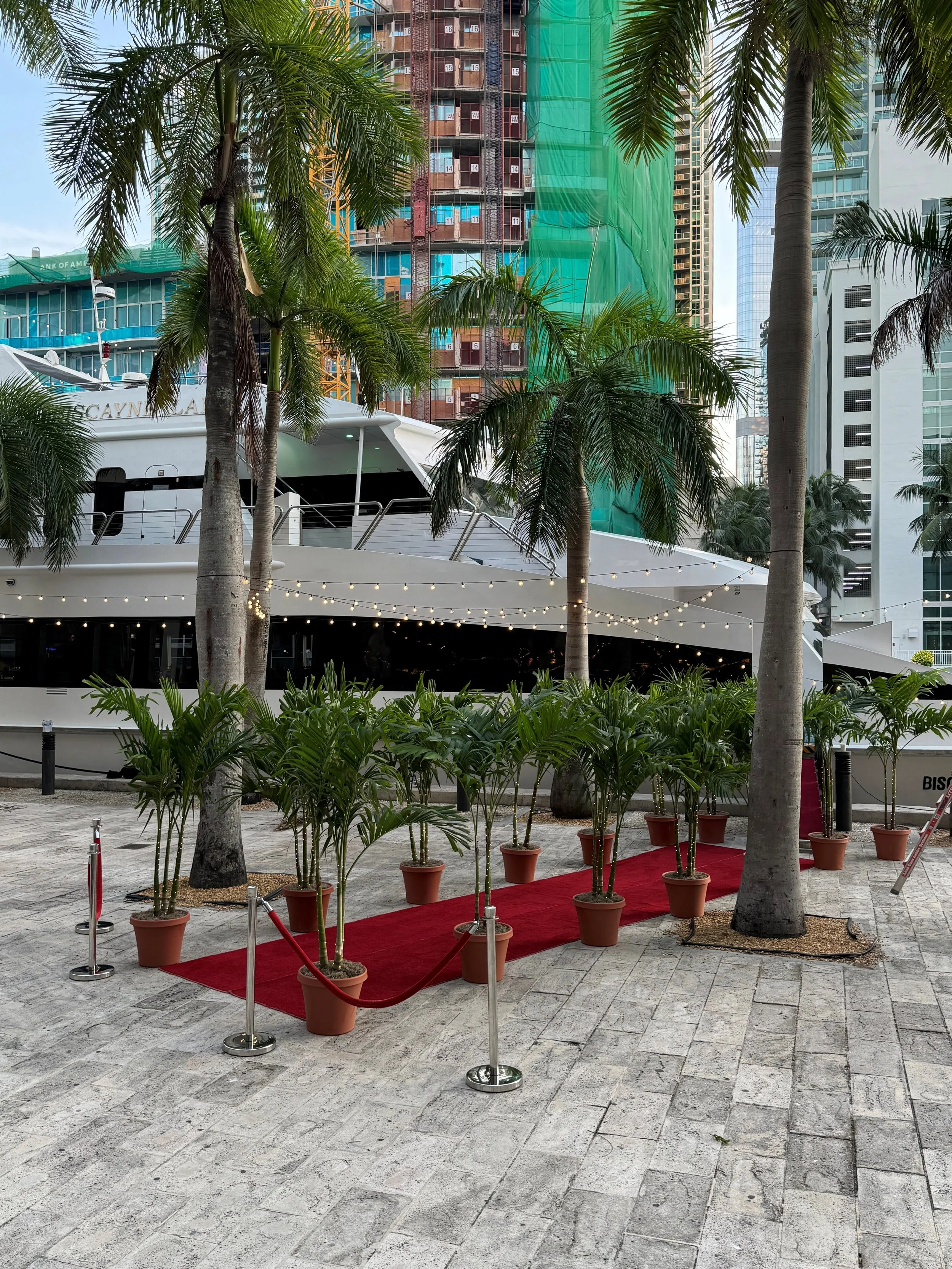 Temporary Tropics provides live foliage rentals for corporate and social events throughout South Florida, in Hotels, conferences and convention centers.
