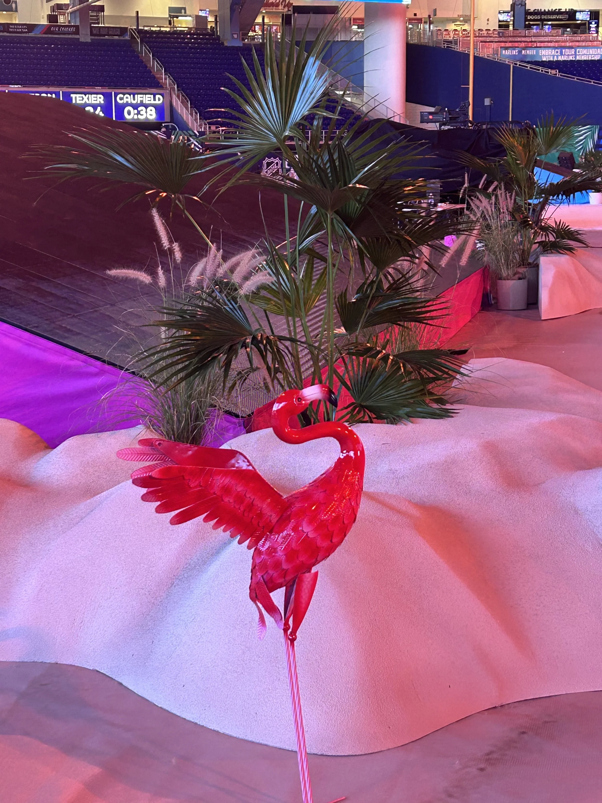 Temporary Tropics did the live foliage for the 2026 NHL Winter Classic in Loan Depot Park, Miami - Florida on January 2, 2026