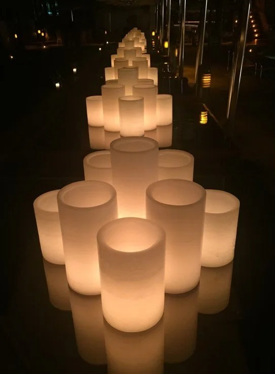 Temporary Tropics l Trusted + Top Biophilic Design + Elevated Experiences Studio  l Serving the State of Florida l Highly Rated + Recommended Premier Vendor Partner for Live Foliage + Floral Rentals l Premium Plant Rentals l Corporate + Social Event 