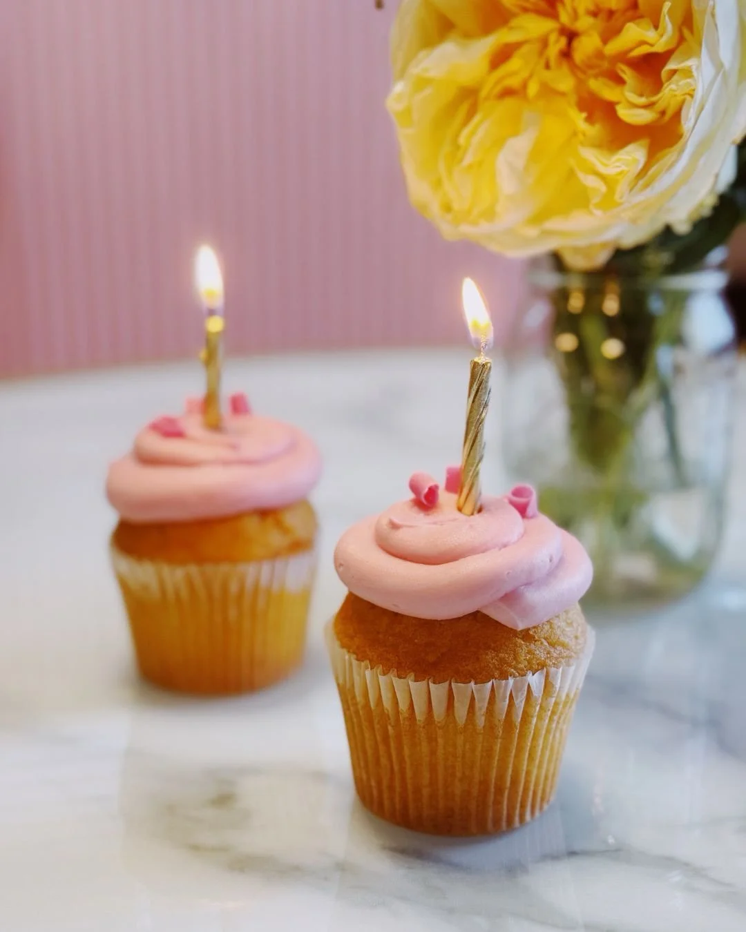 One year with these absolutely amazing humans 💕

We are SO THANKFUL these are the ones that joined us first when we had no idea what we were doing!!! We&rsquo;ve all grown together and they are so dear to our heart 💜 

We truly have such an amazing