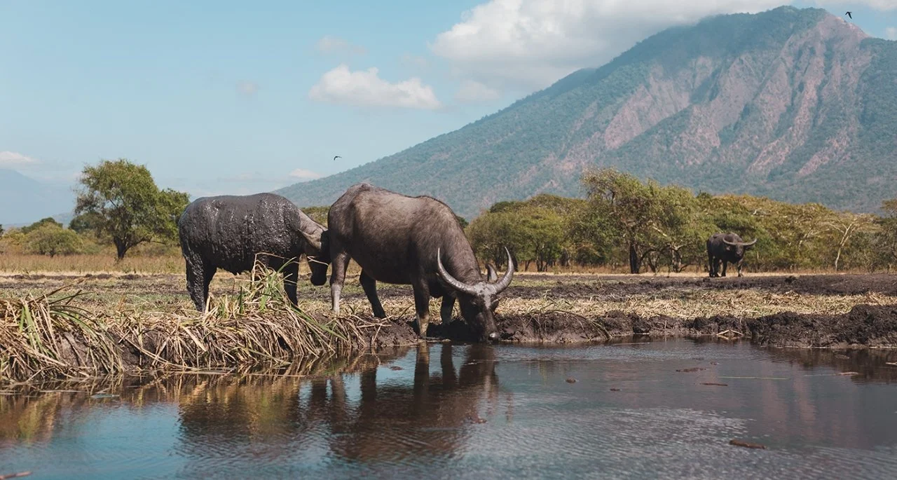 Visite - parc naturel