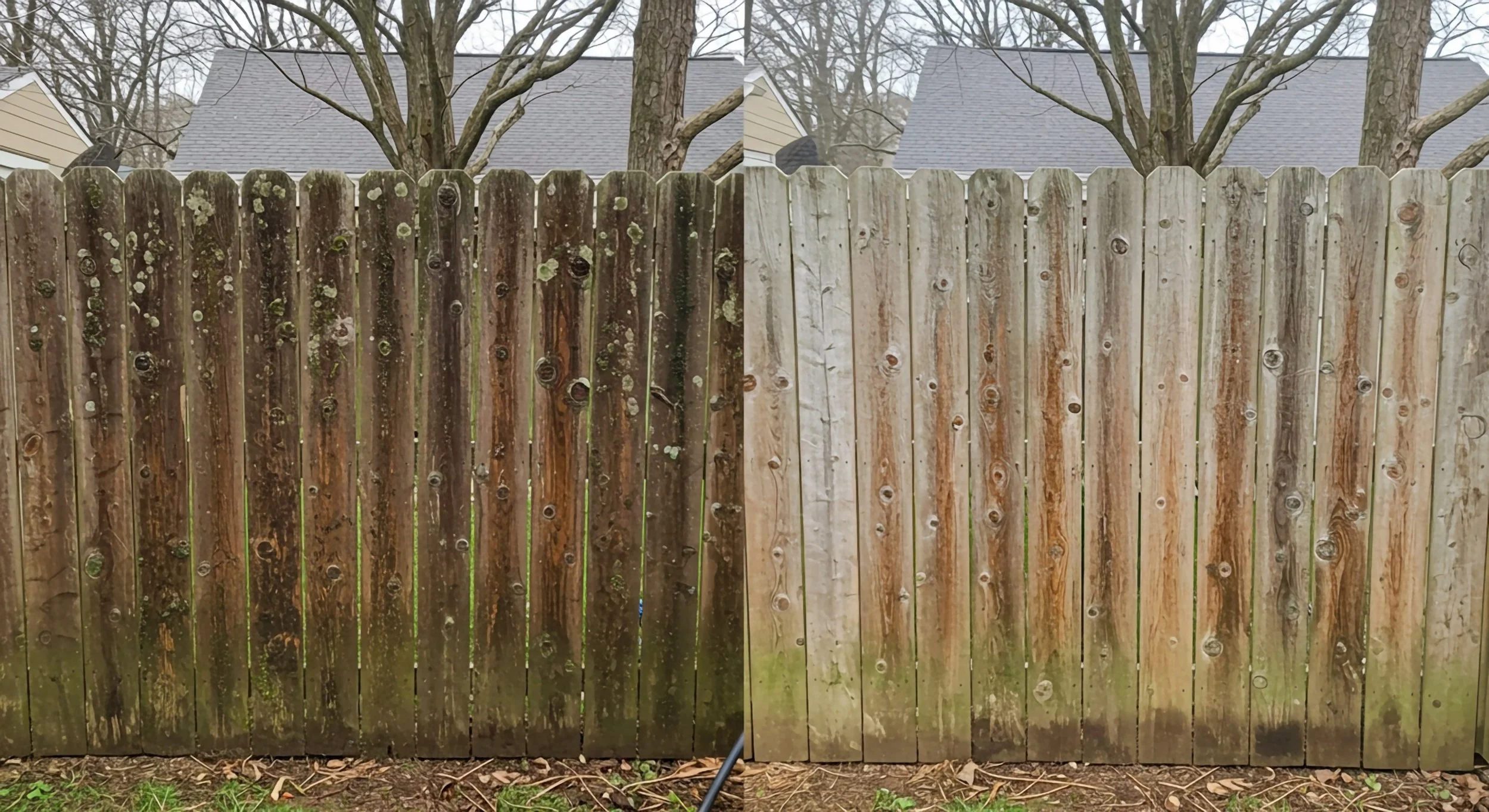 AdobeStock_1551422639.jpeg