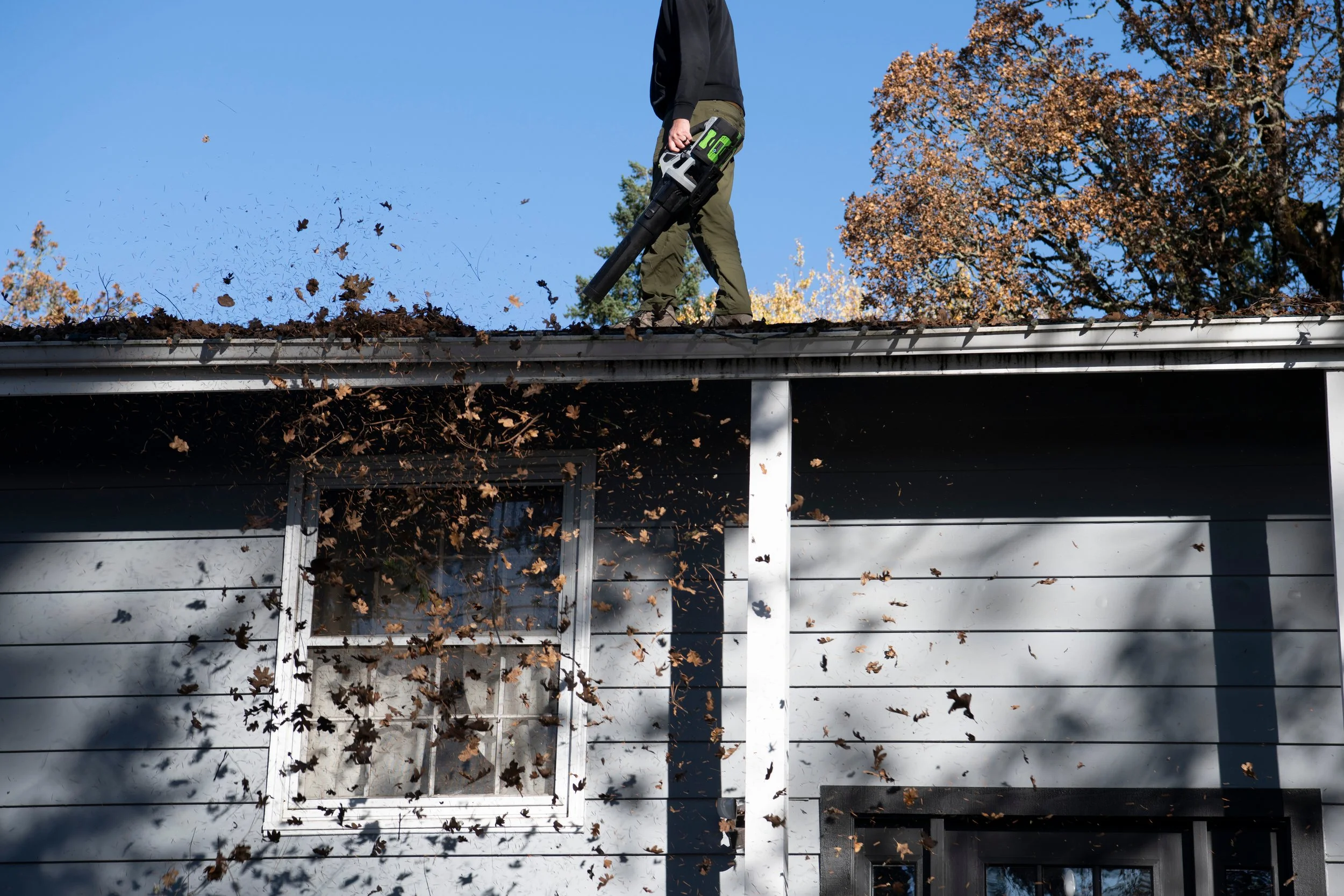 Gutter Cleaning