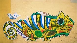 Here's a preview of my sequel "A Swedish Chameleon"....