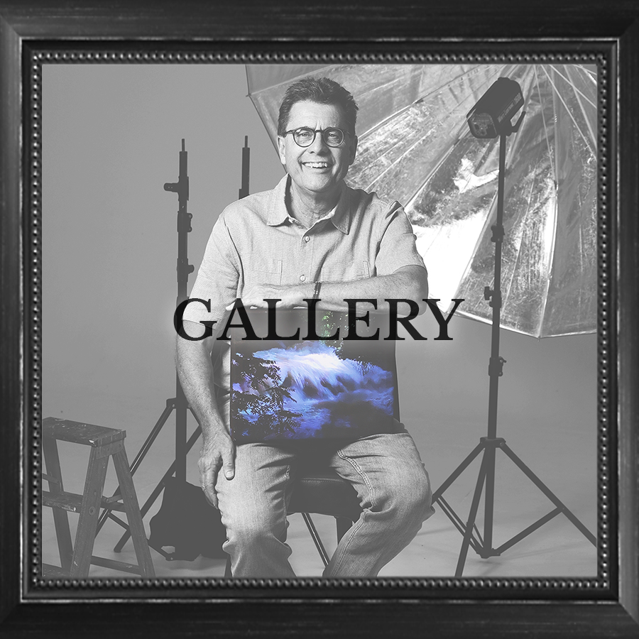 gallerycover.png