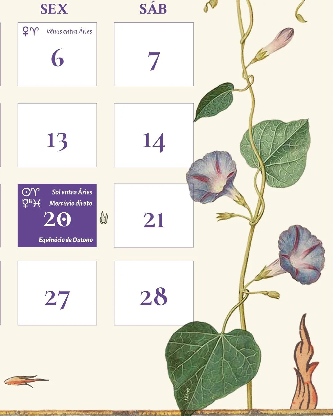 🍂🌼 as plantas que nos cercam no cerrado carregam uma beleza misteriosa. ciclos das esta&ccedil;&otilde;es s&atilde;o pr&oacute;prios e &uacute;nicos nesse bioma, e s&atilde;o grande inspira&ccedil;&atilde;o para as representa&ccedil;&otilde;es m&ec