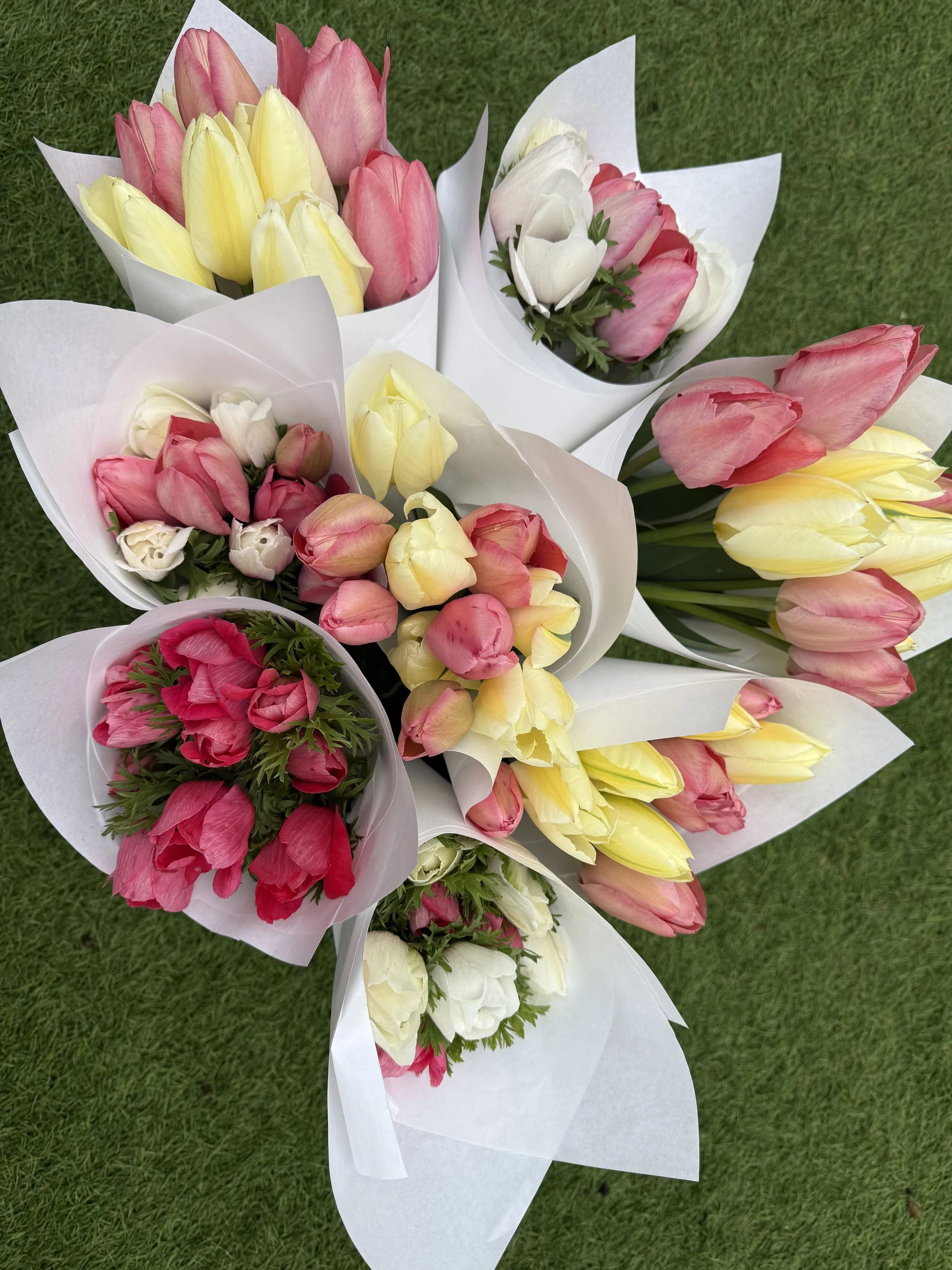 Multiple bouquets of tulips in pink, yellow, and white, wrapped in white floral paper, arranged on green grass.