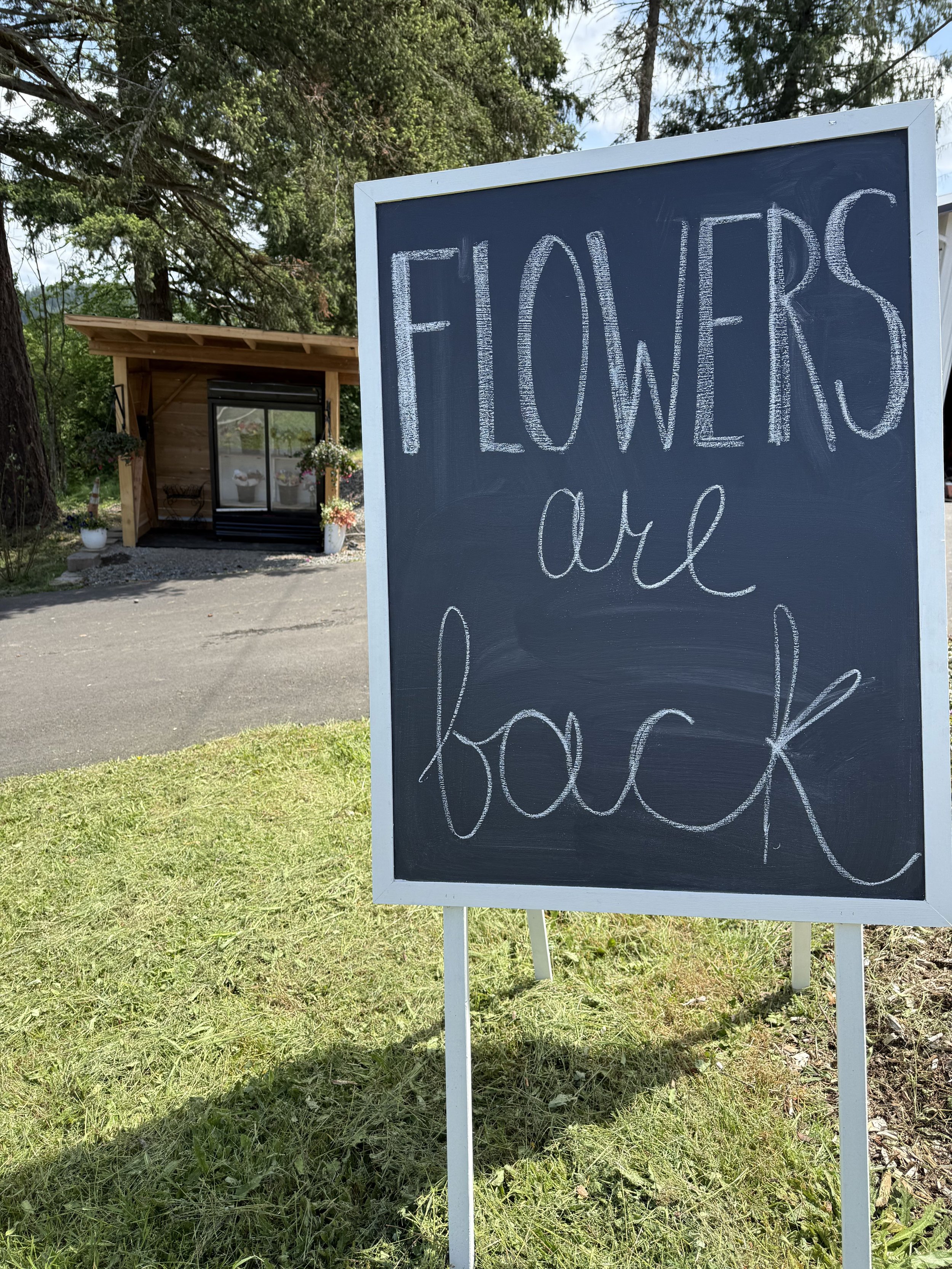 A blackboard sign with white chalk writing that says 'FLOWERS are back' in an outdoor setting with trees, grass, and a small wooden building or shed in the background.
