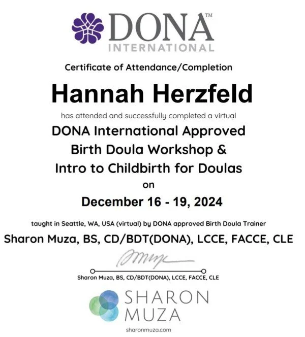Certificate of attendance for Hannah Herzfeld from DONA International, awarded for completing a virtual Birth Doula Workshop and Childbirth Introduction from December 16 to 19, 2024, signed by Sharon Muza.