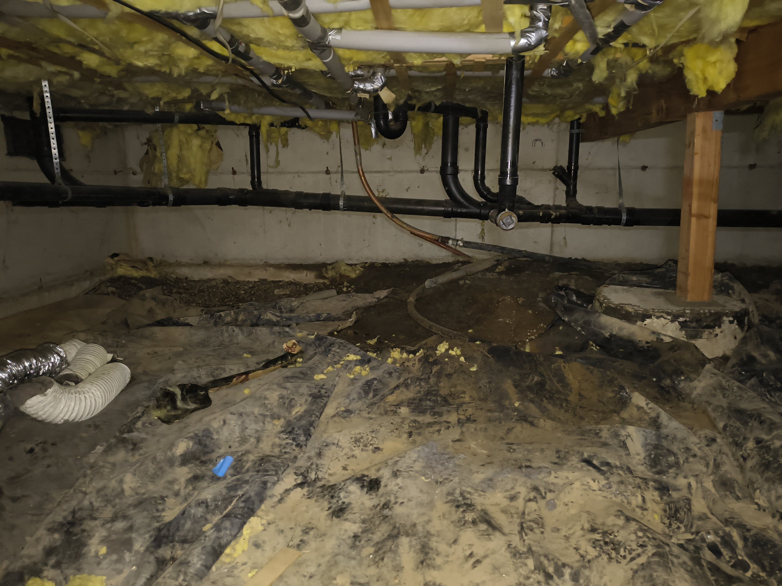Crawl space: remove trash and install vapor barrier