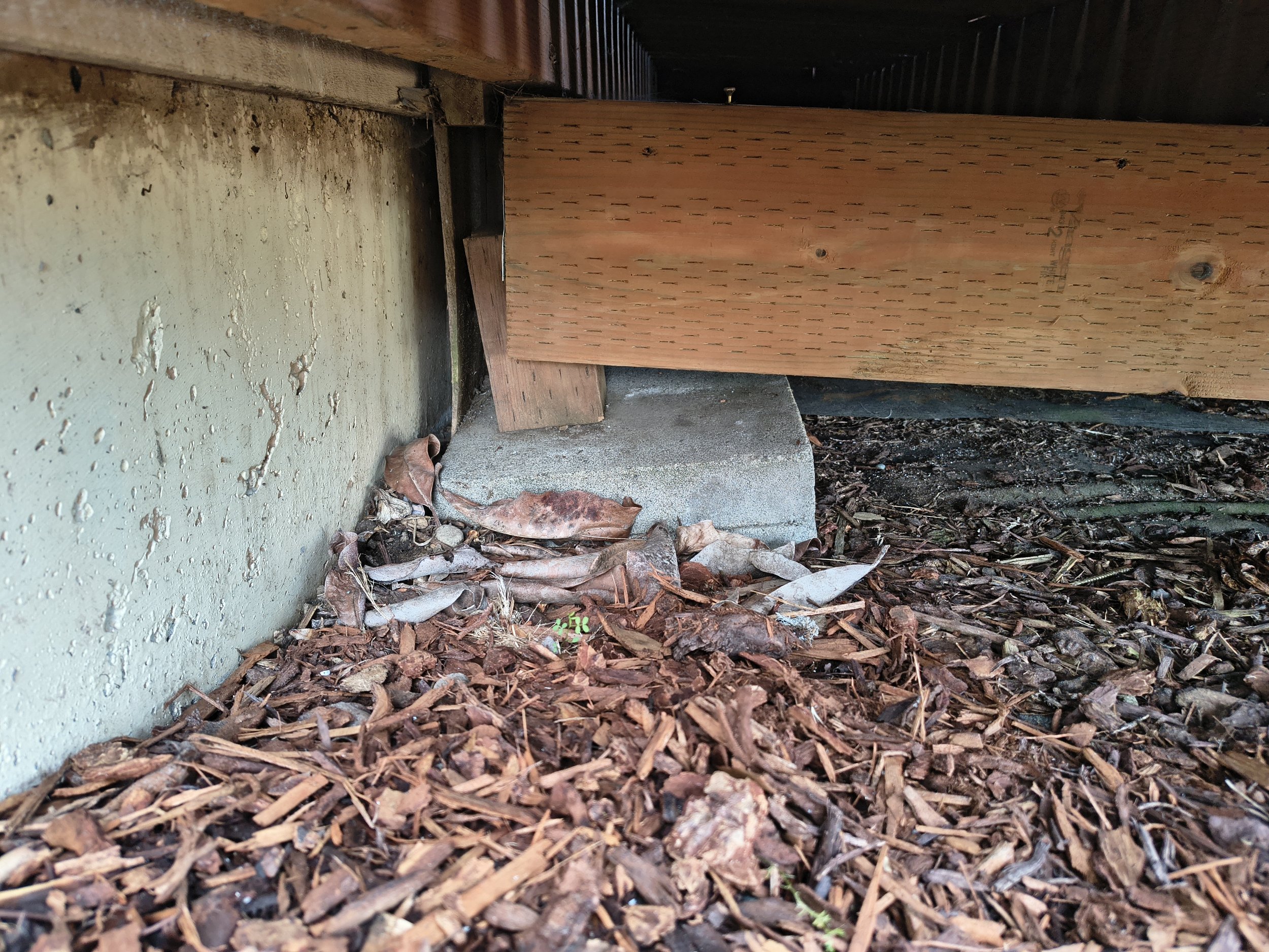 Deck repair: install support