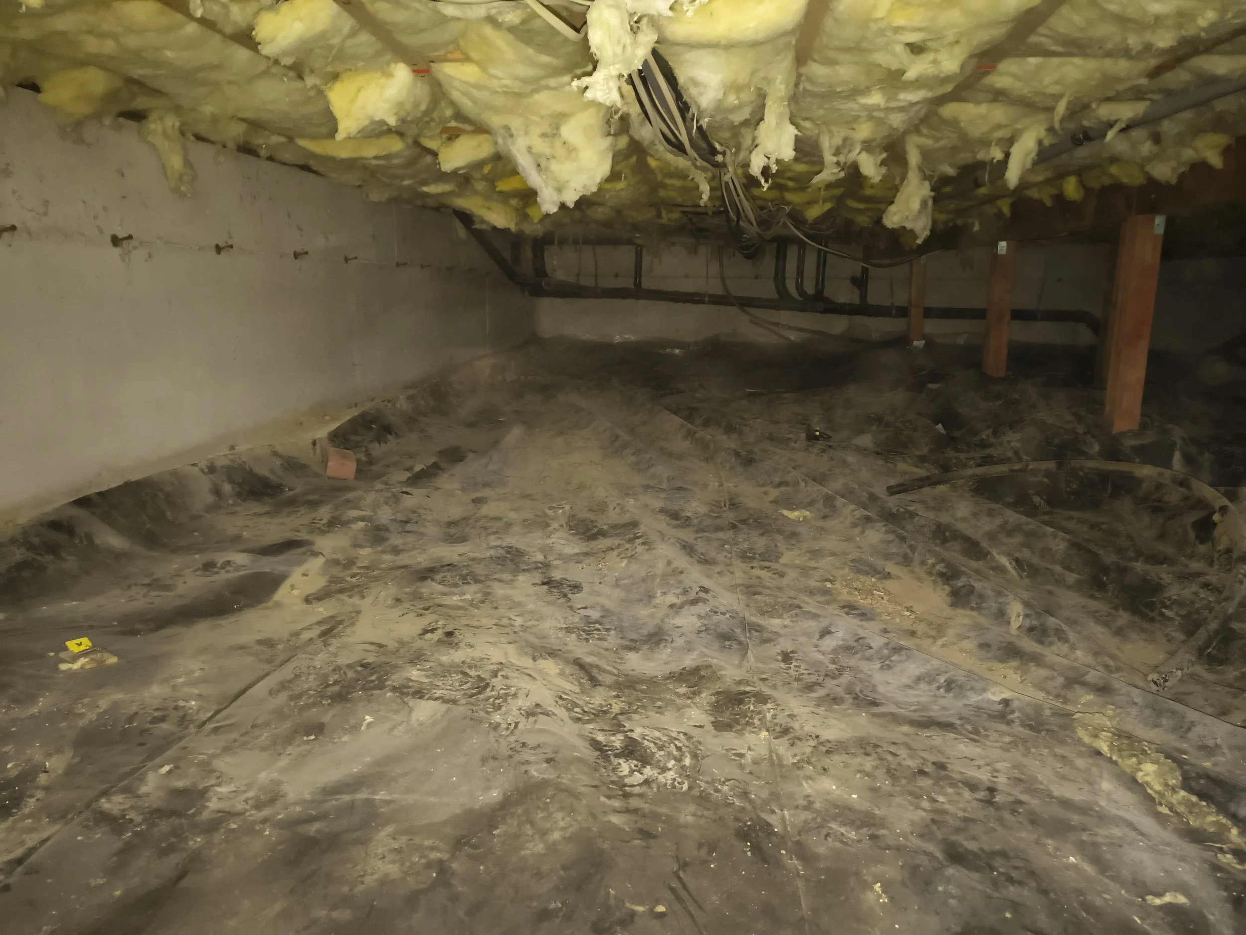 Crawl space: remove trash and install vapor barrier