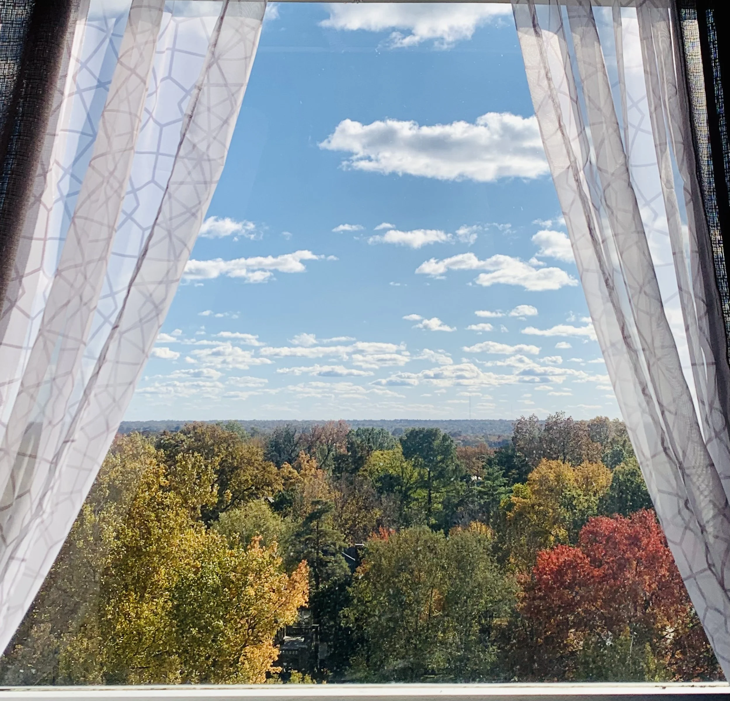 Why Regenerated Minds? 