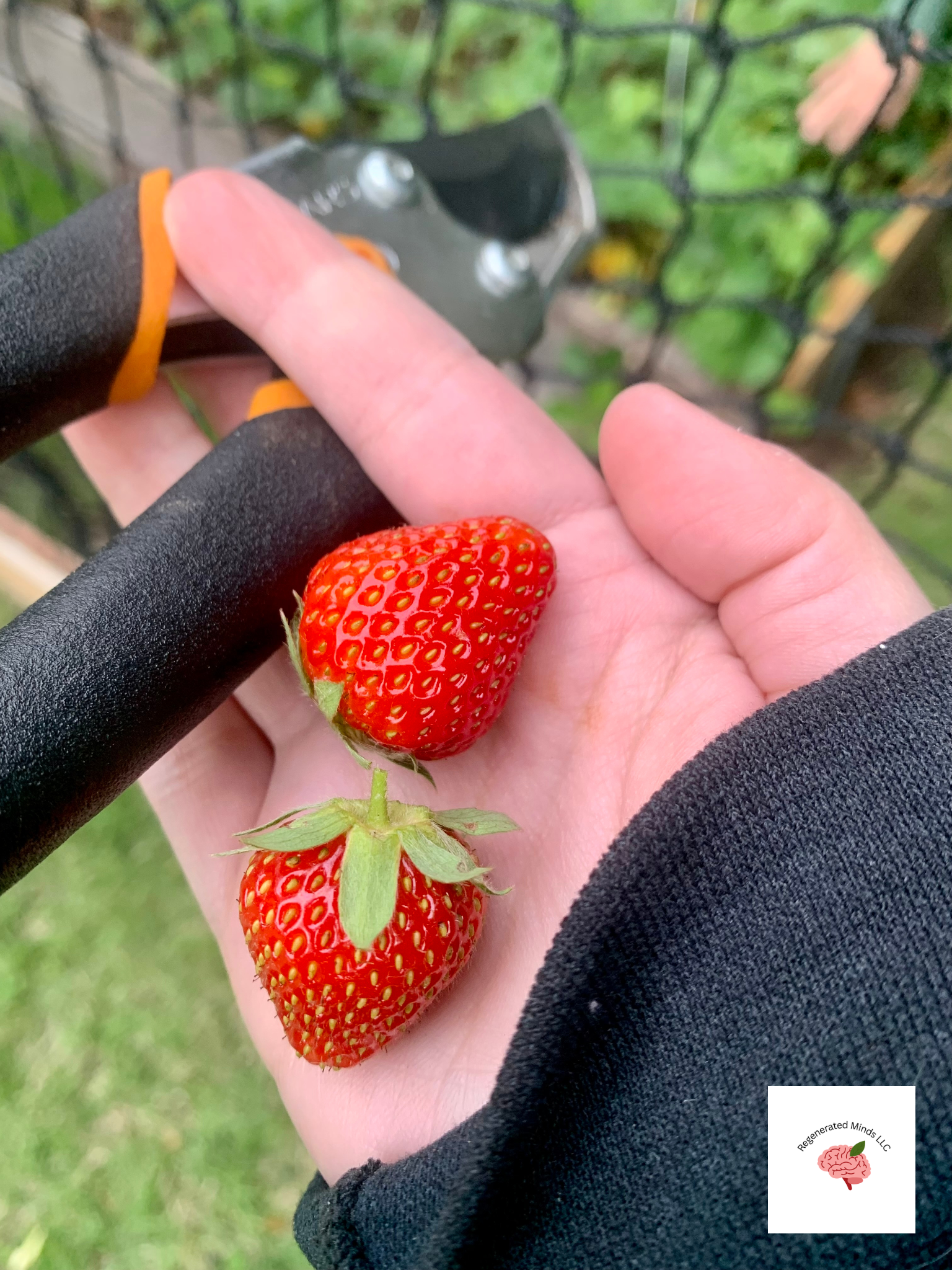 Why Gardening is Good for your Mental Health