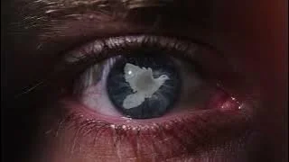 Stories, Voices & Visuals