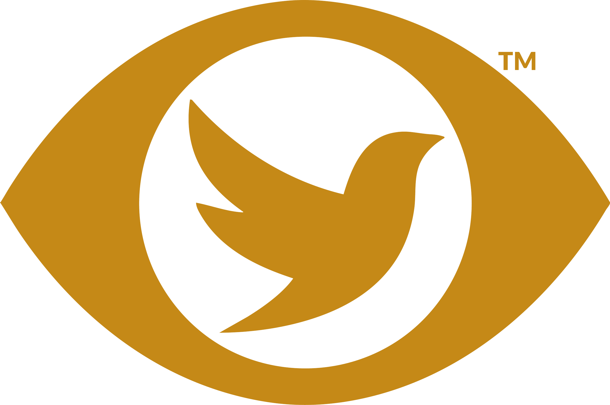 Erfanomous logo with a stylized eye and bird motif.