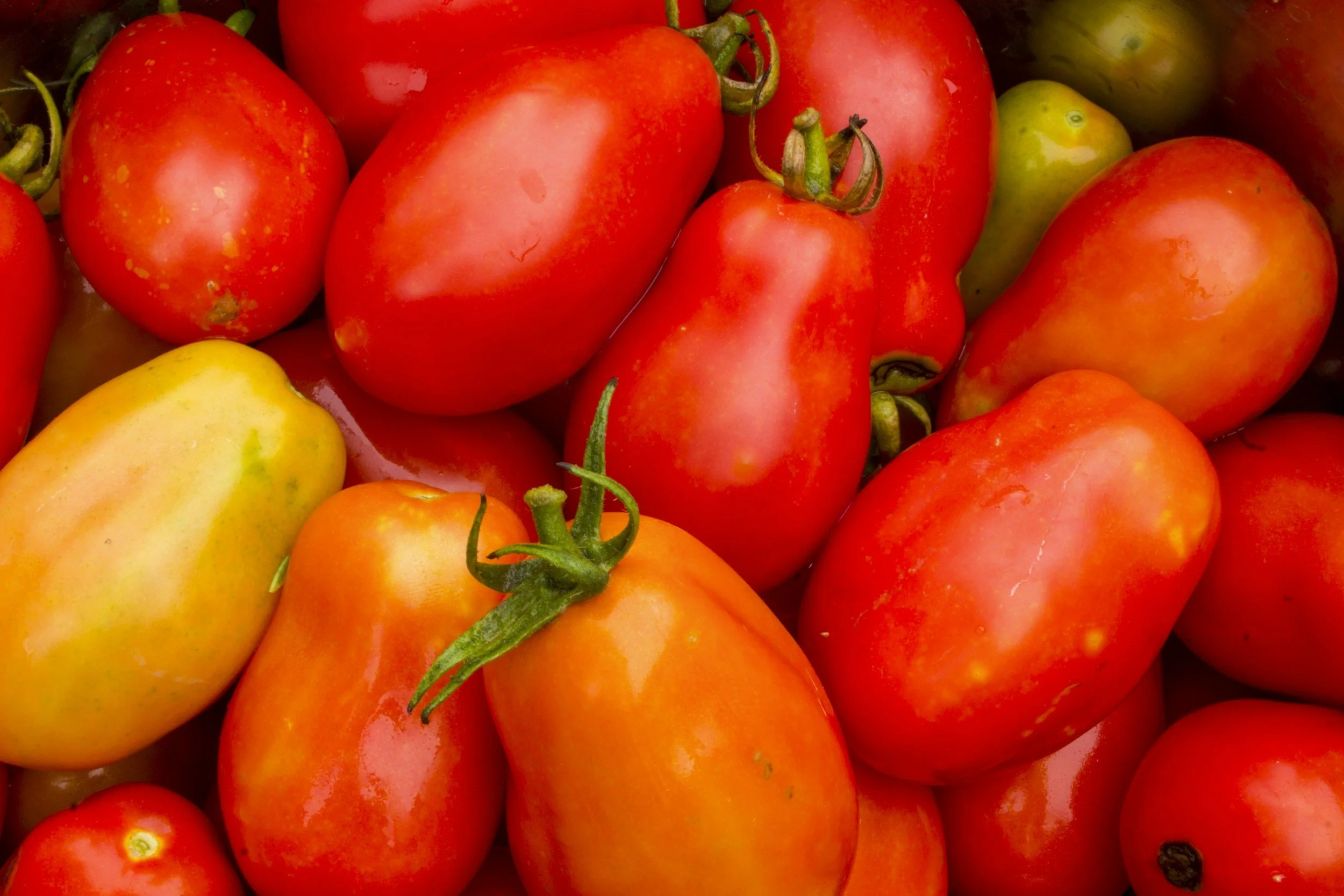 Stanislaus California-grown tomatoes used for artisan pizza sauce