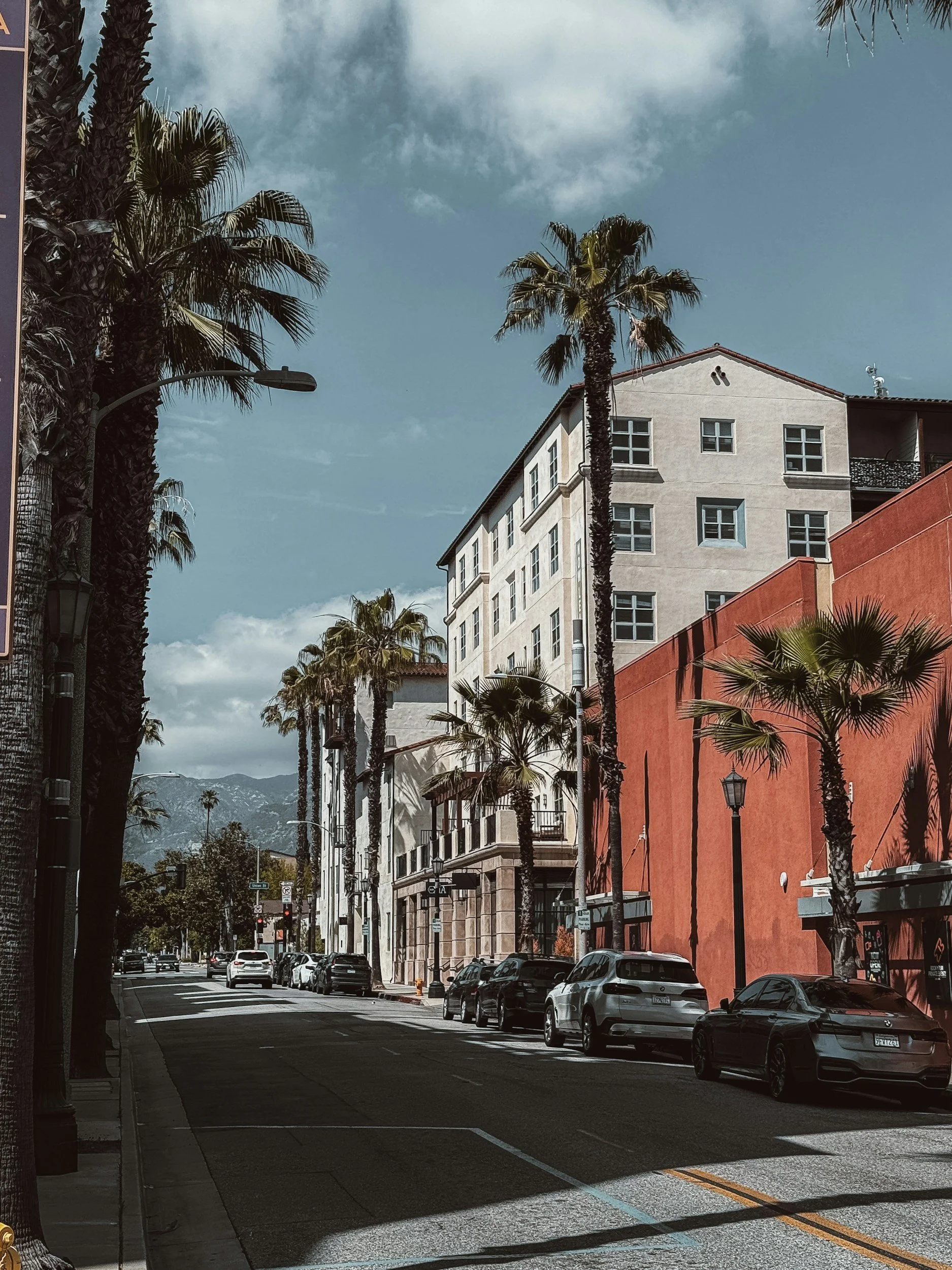 A city street scene in Pasadena with tall buildings, palm trees, street lights, blue skies and a mountain backdrop
