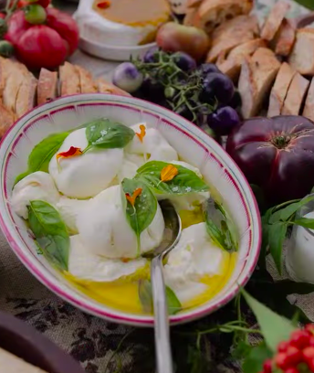 Screen Shot 2026-03-31 at 12.16.17 PM.png