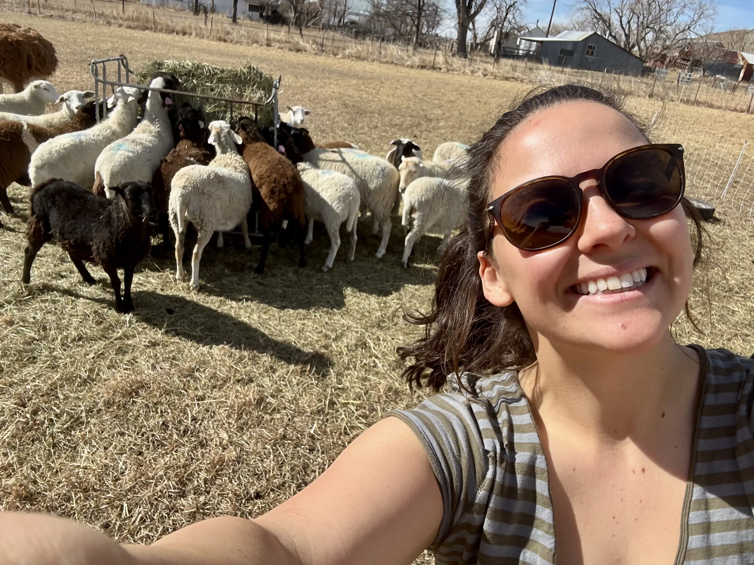 A woman taking a selfie with her Siberian Husky dog in a grassy outdoor area with rocks, under a partly cloudy blue sky.