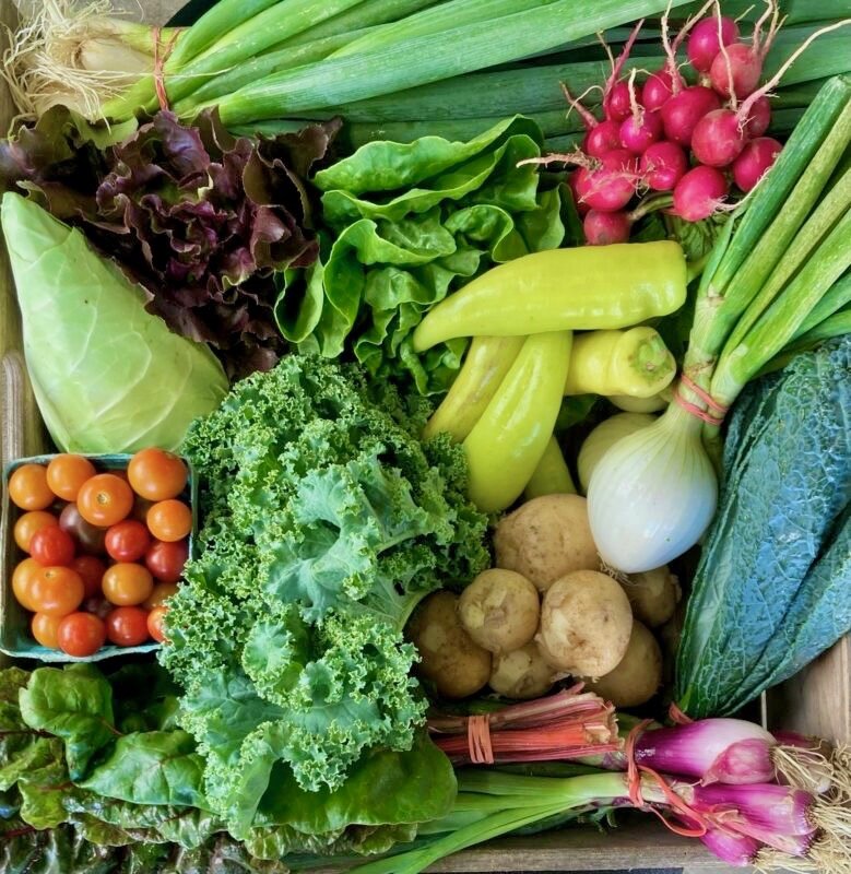 CSA Veggie Full Share