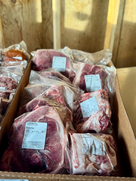 Screen Shot 2026-02-08 at 9.31.33 AM.png