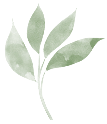 A simple illustration of a green leafy plant or branch with seven leaves.