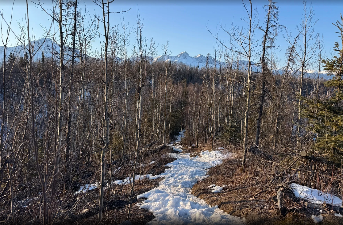 Long Lake Loop Train 2.png