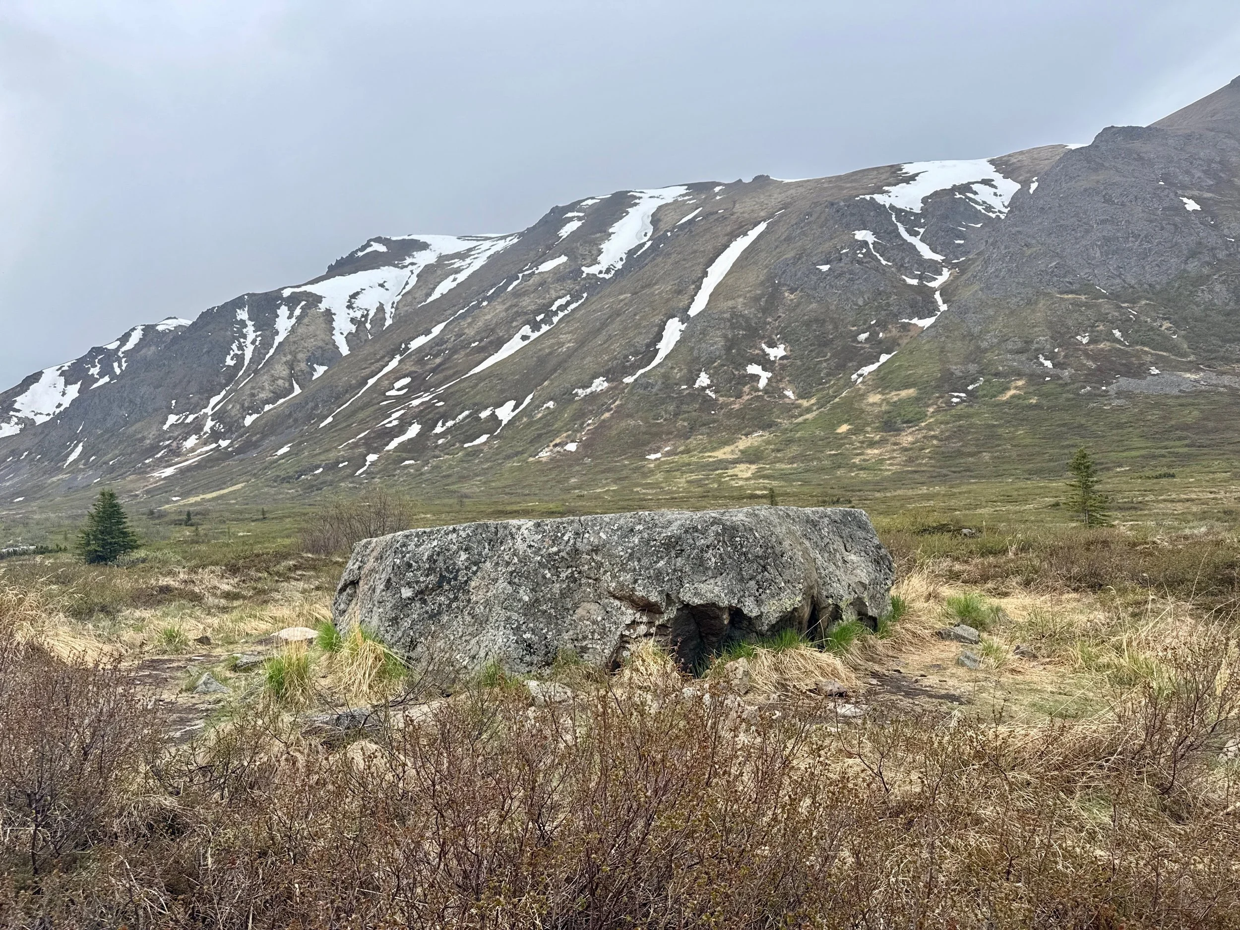 IMG_0086.JPEG
