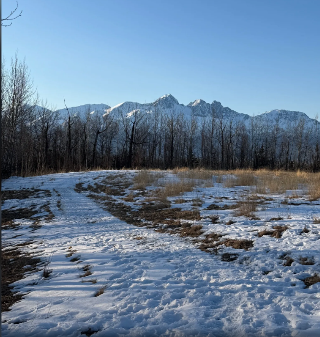 Long Lake Loop Trail.png