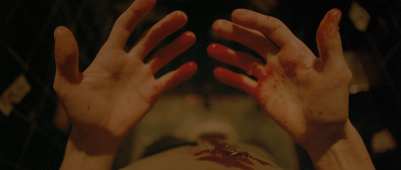 Gaspar Noé Enter The Void Still