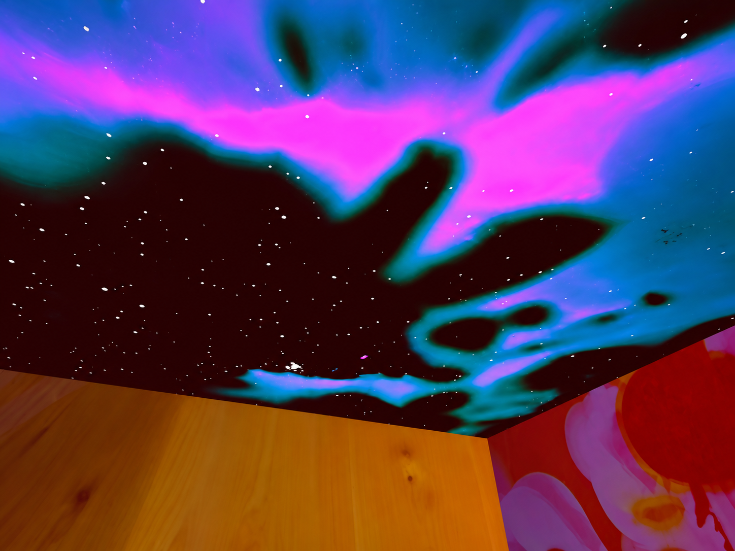 Maia.png
