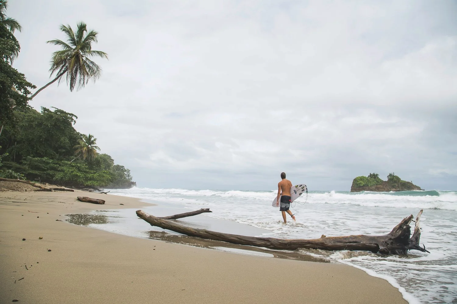 A man with a surfboard walking into the ocean on a cloudy day at a beach with palm trees and a small island in the distance.