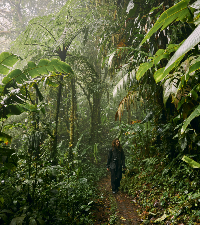 A woman walking on a narrow trail through a lush, green rainforest with dense foliage and mist.