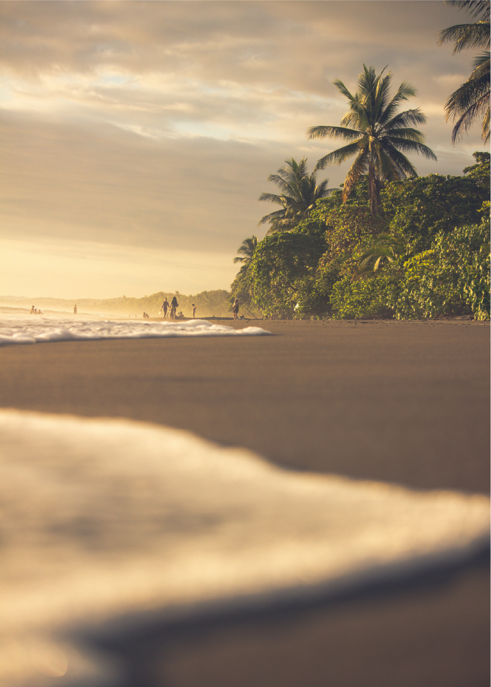Sunset at a tropical beach with palm trees and people walking along the shoreline.