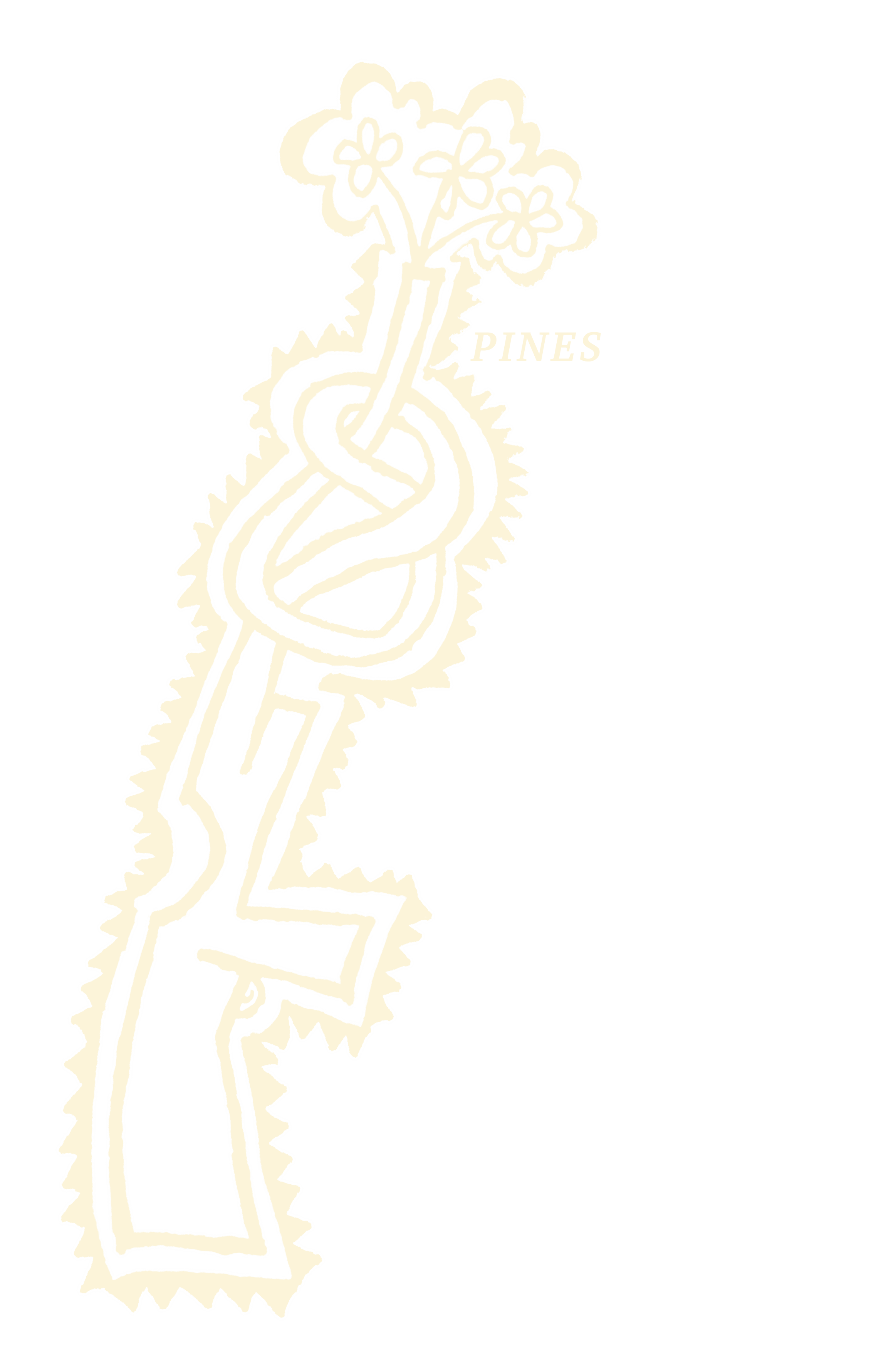pines aim 4 peace.png