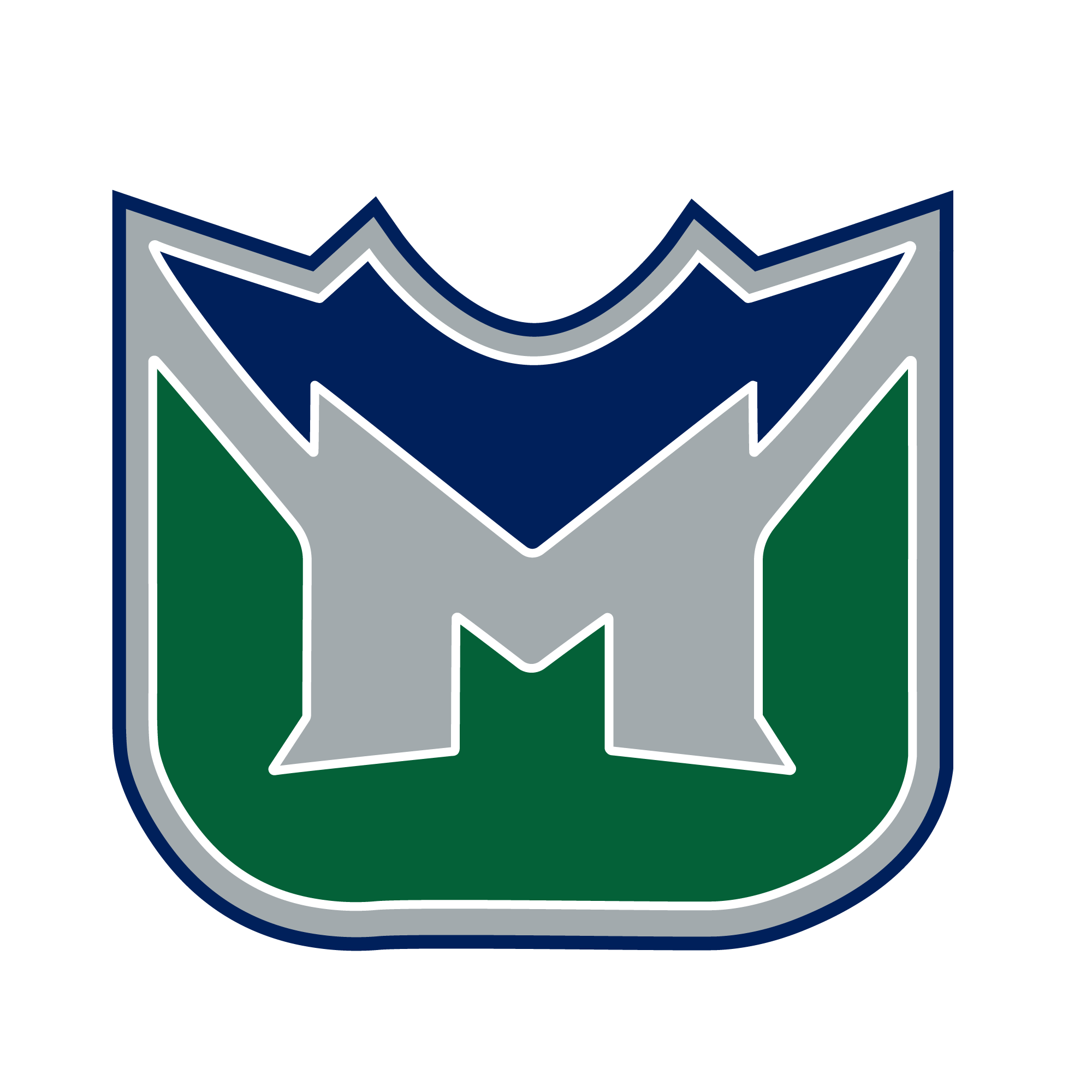 Electric City Mayhem [Hockey Team] 2021