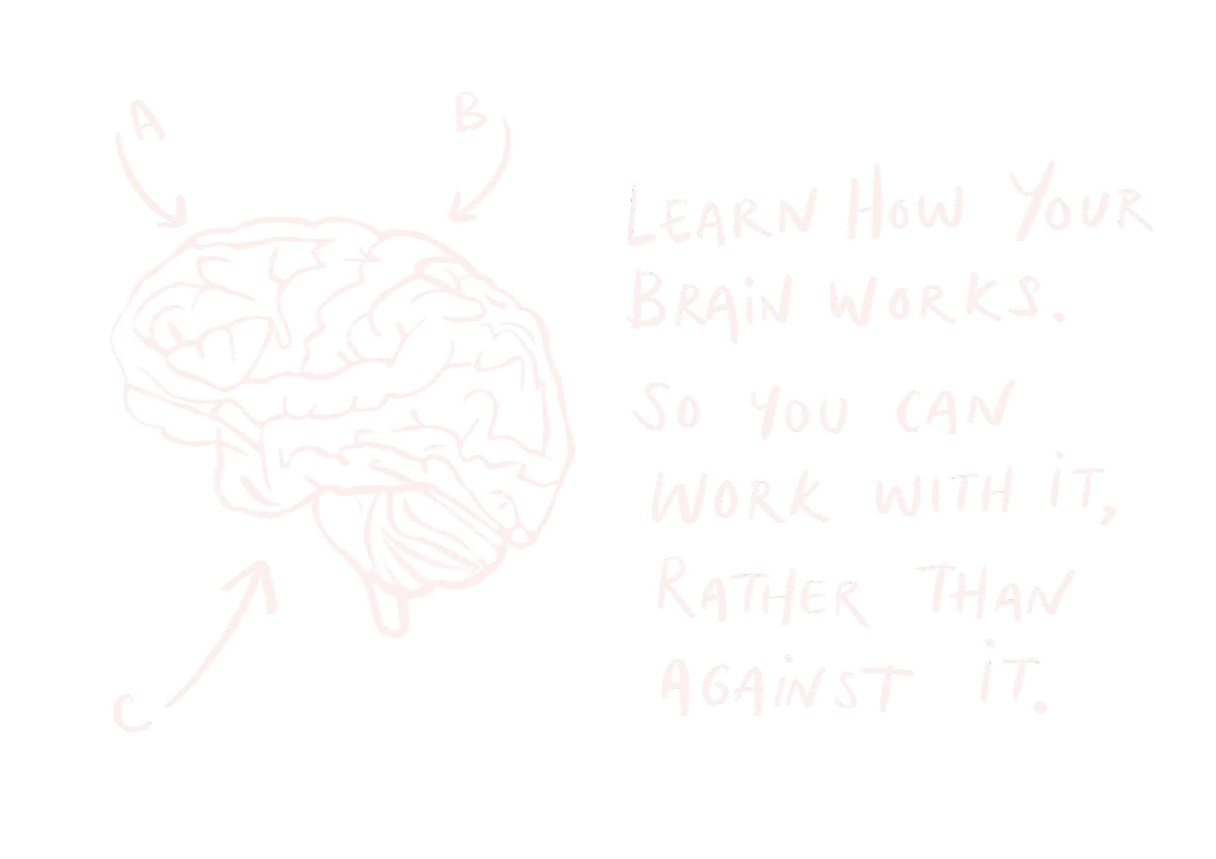 ADHD Hand drawn illustration of a brain, with the words "learn to work with your brain and not against it. Actually Zebra. ADHD AuDHD coaching