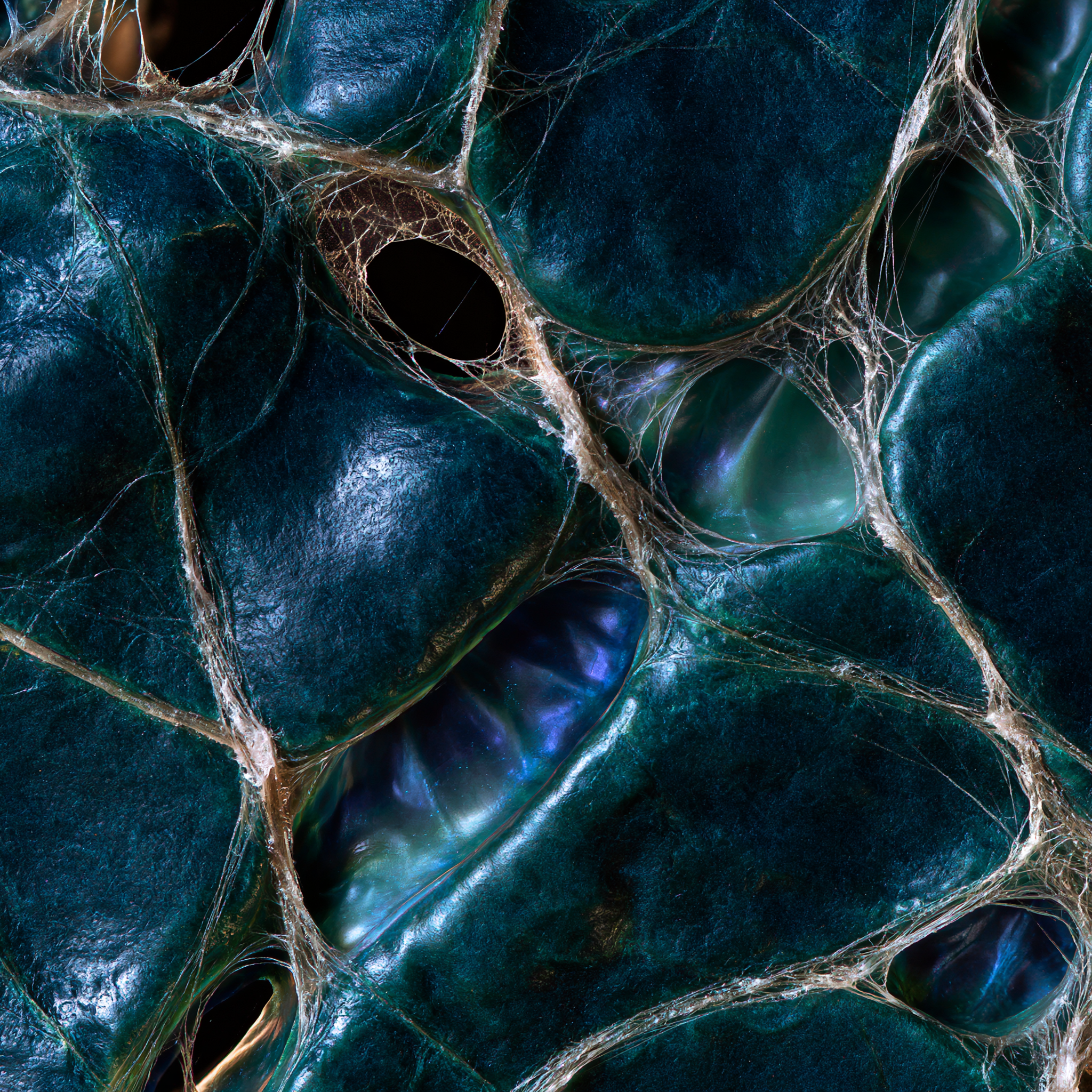 Alien_living_surface_opening_lines_square_composition_diagona_66eae8ce-6df5-4aa4-b3c5-e37699eef7fc_1.png