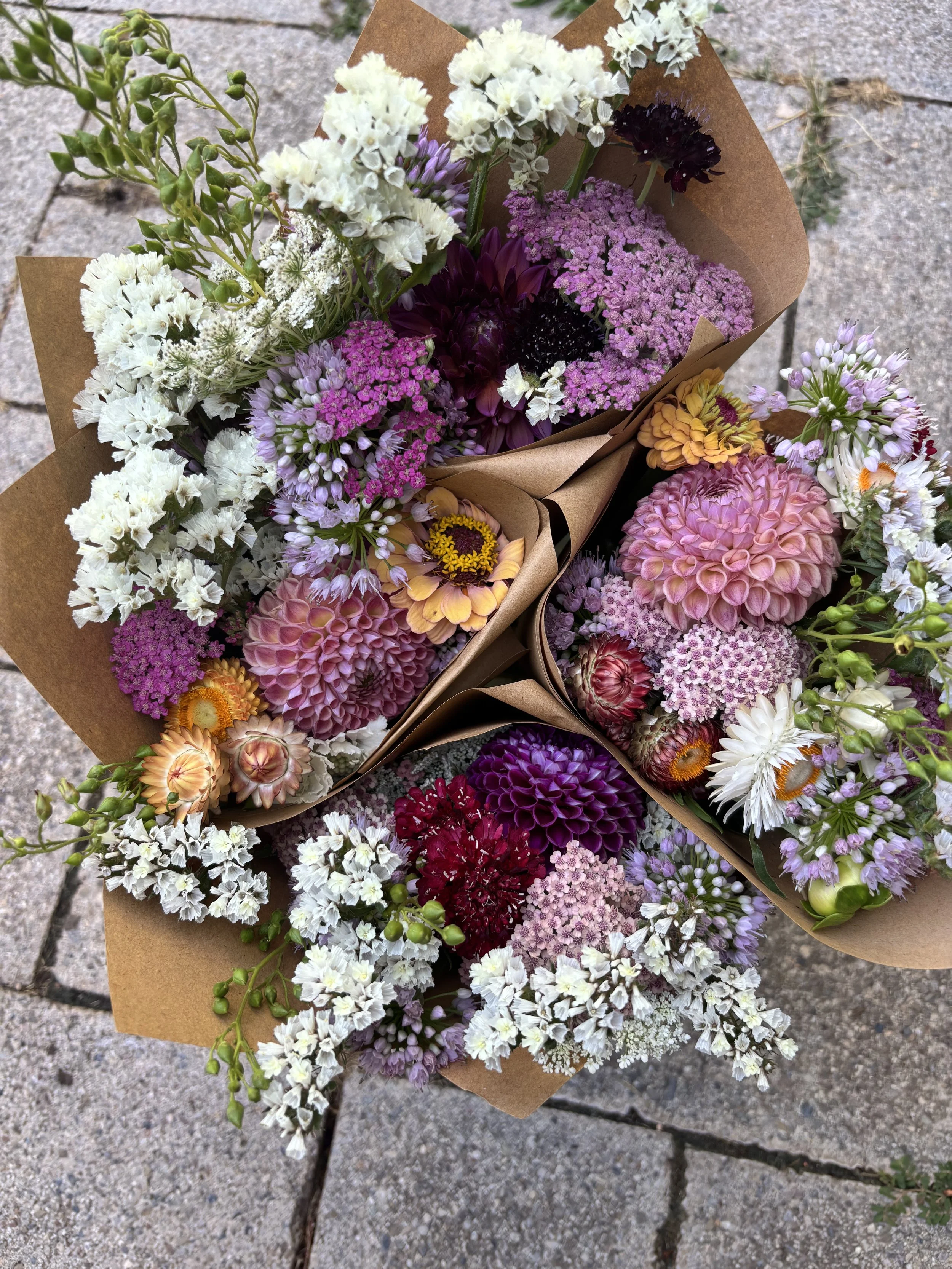 6 Week Summer Subscription