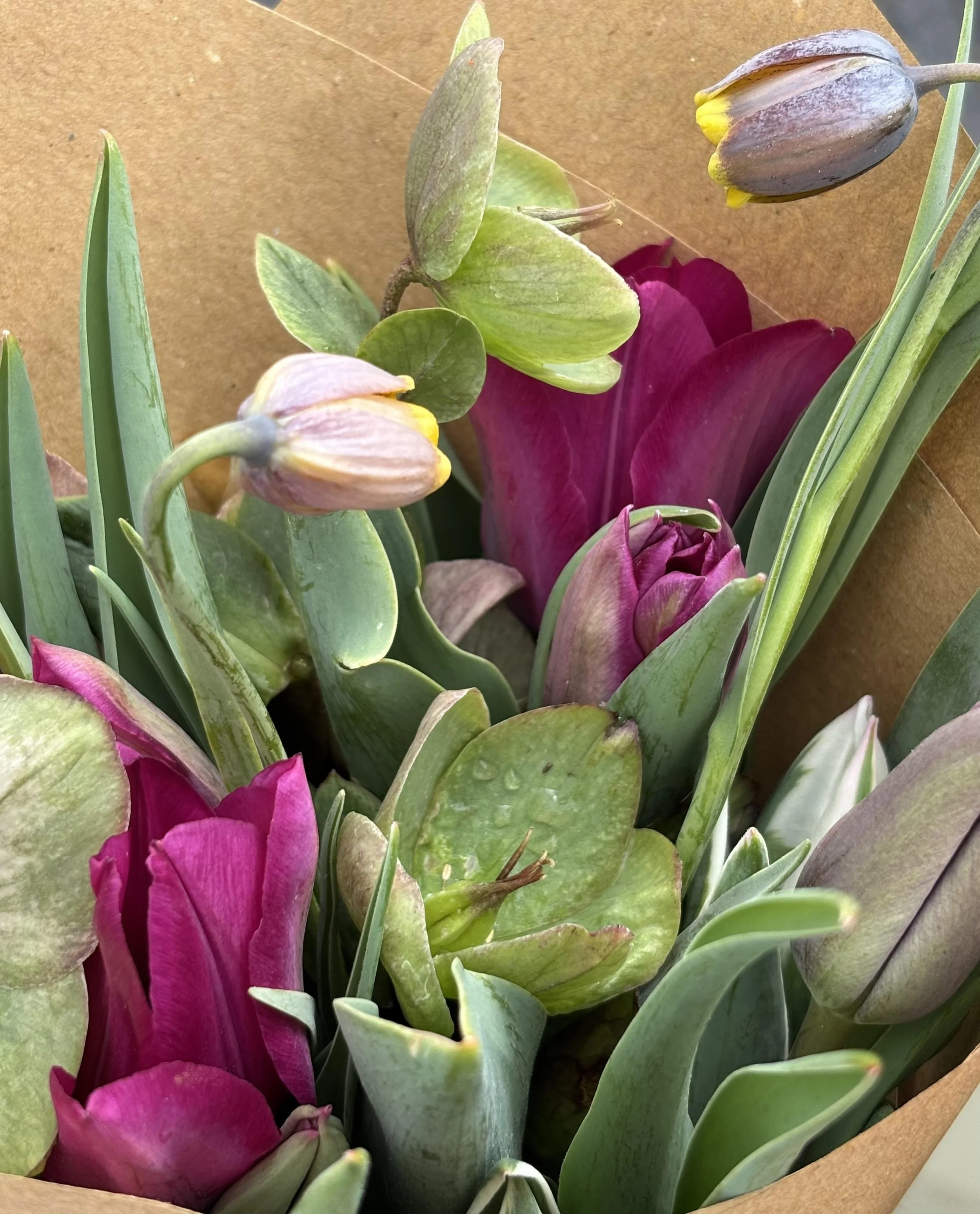 Close-up of a bouquet of pink tulips, purple calla lilies, and green foliage wrapped in brown paper.