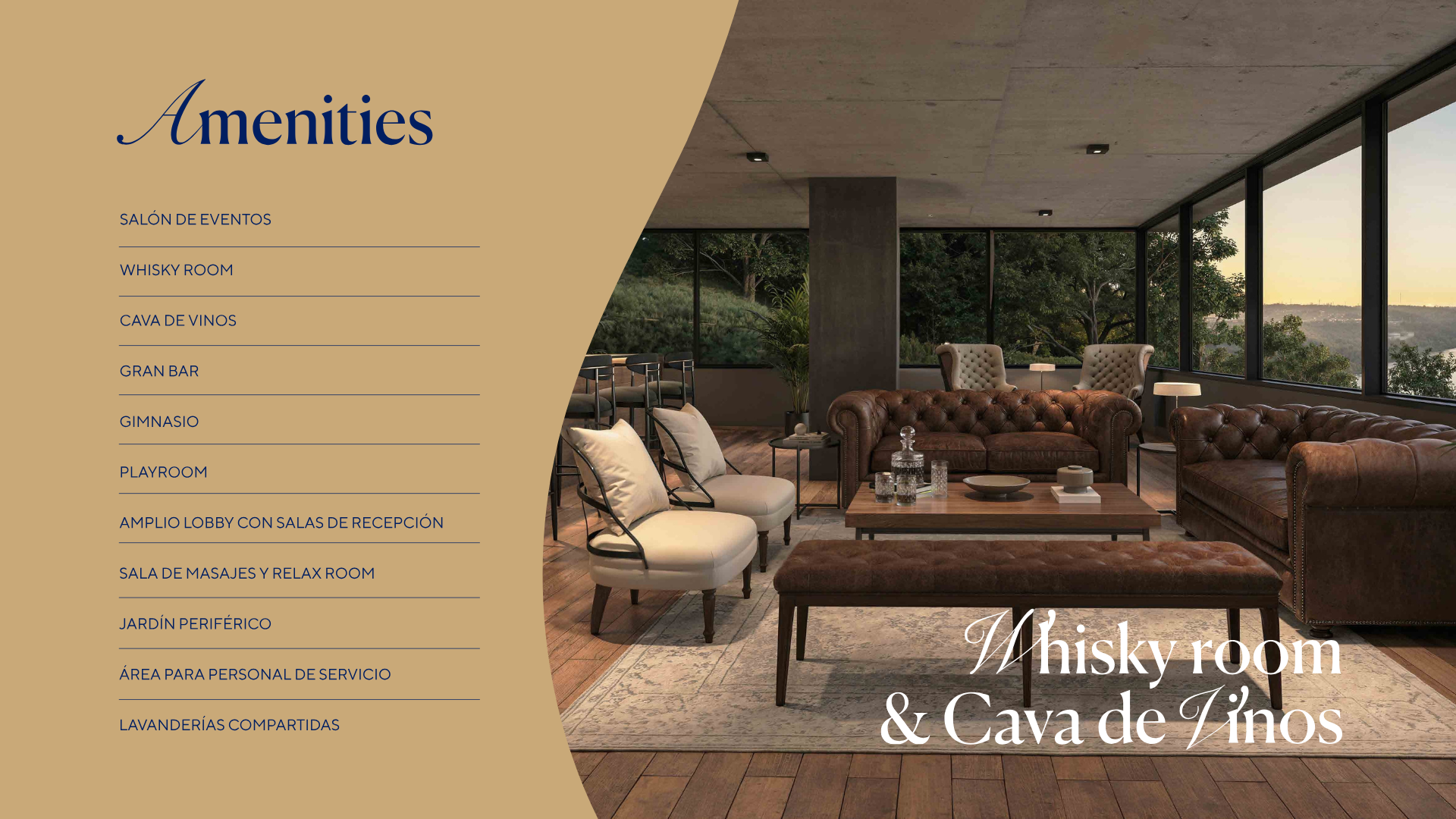 13.png (copia) (copia)