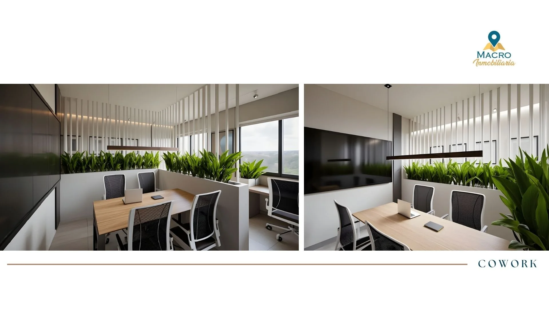 14.jpg (copia) (copia) (copia) (copia)