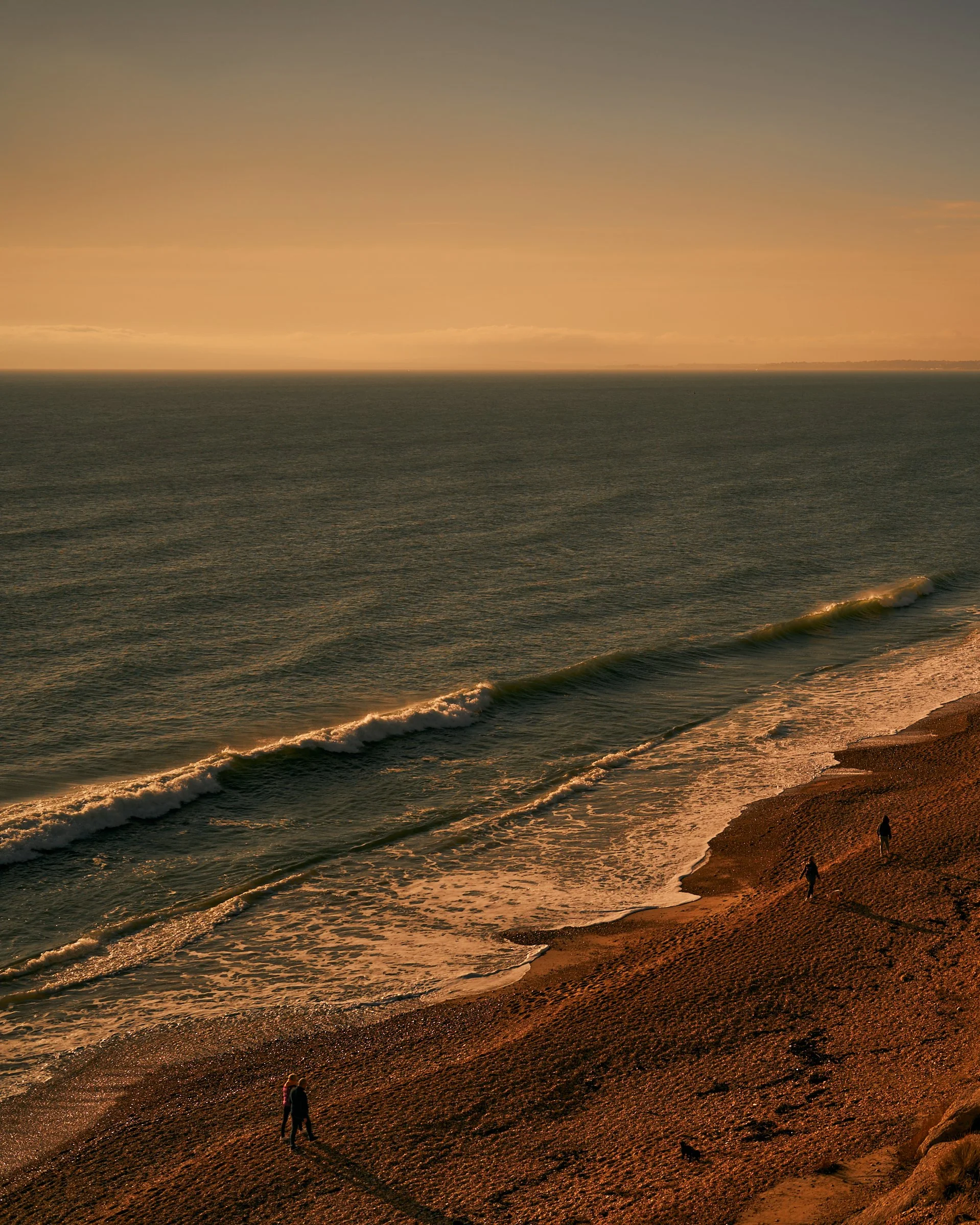 DSC01349_New Forest 11th-14th November.jpg