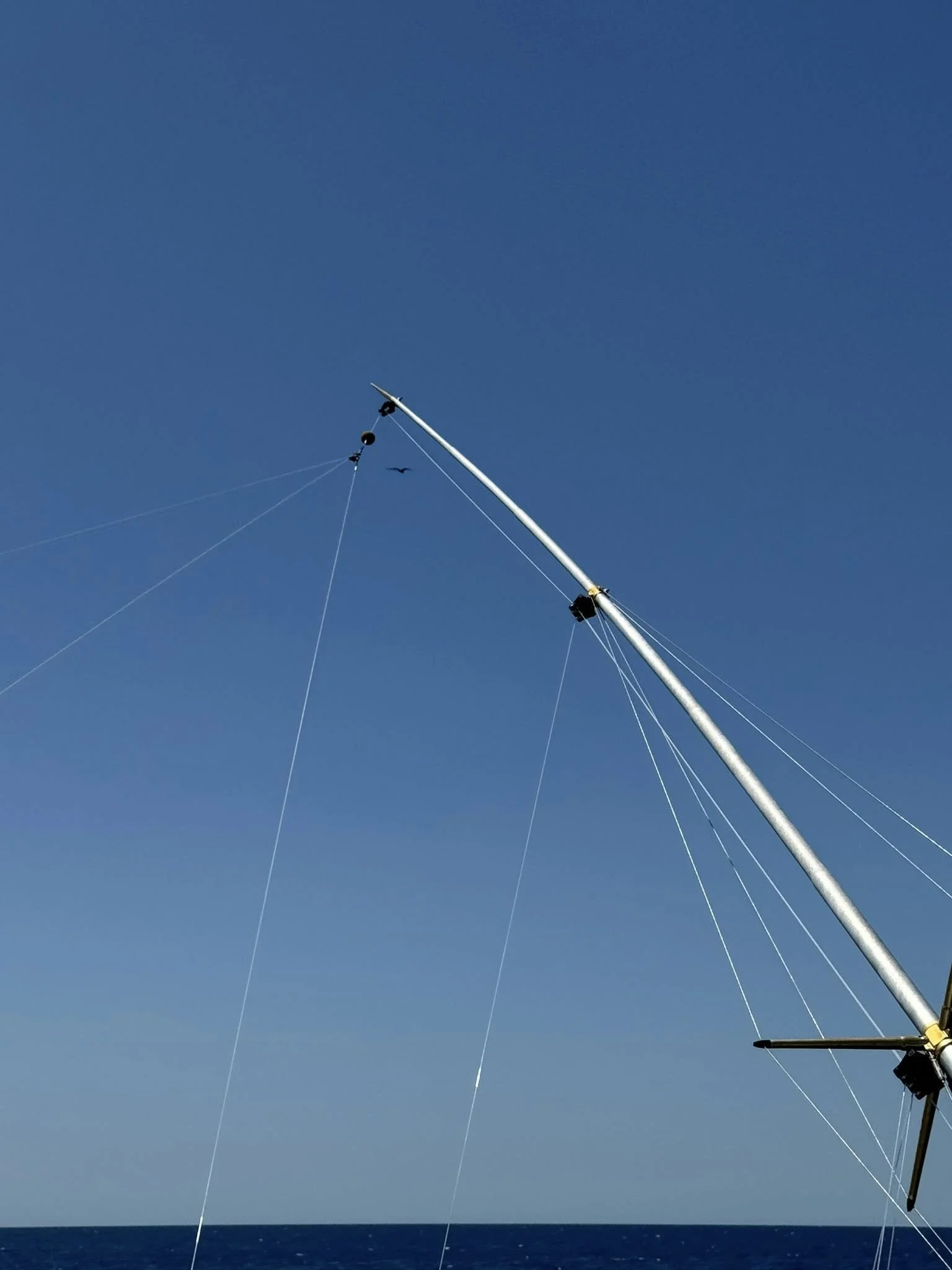 Part of a boat's mast with wires and equipment, set against a clear blue sky with the ocean below.