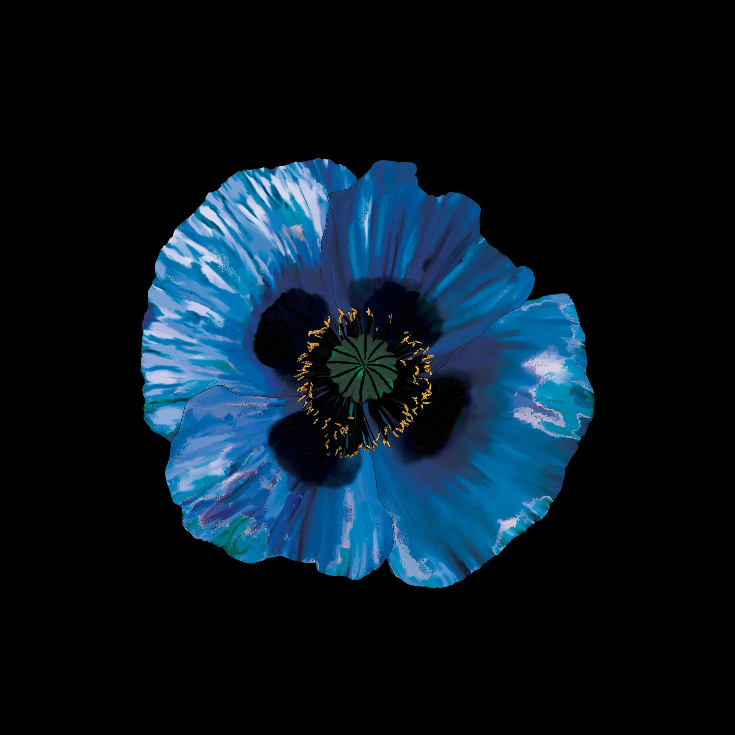 poppy night original art by mari rosa.webp