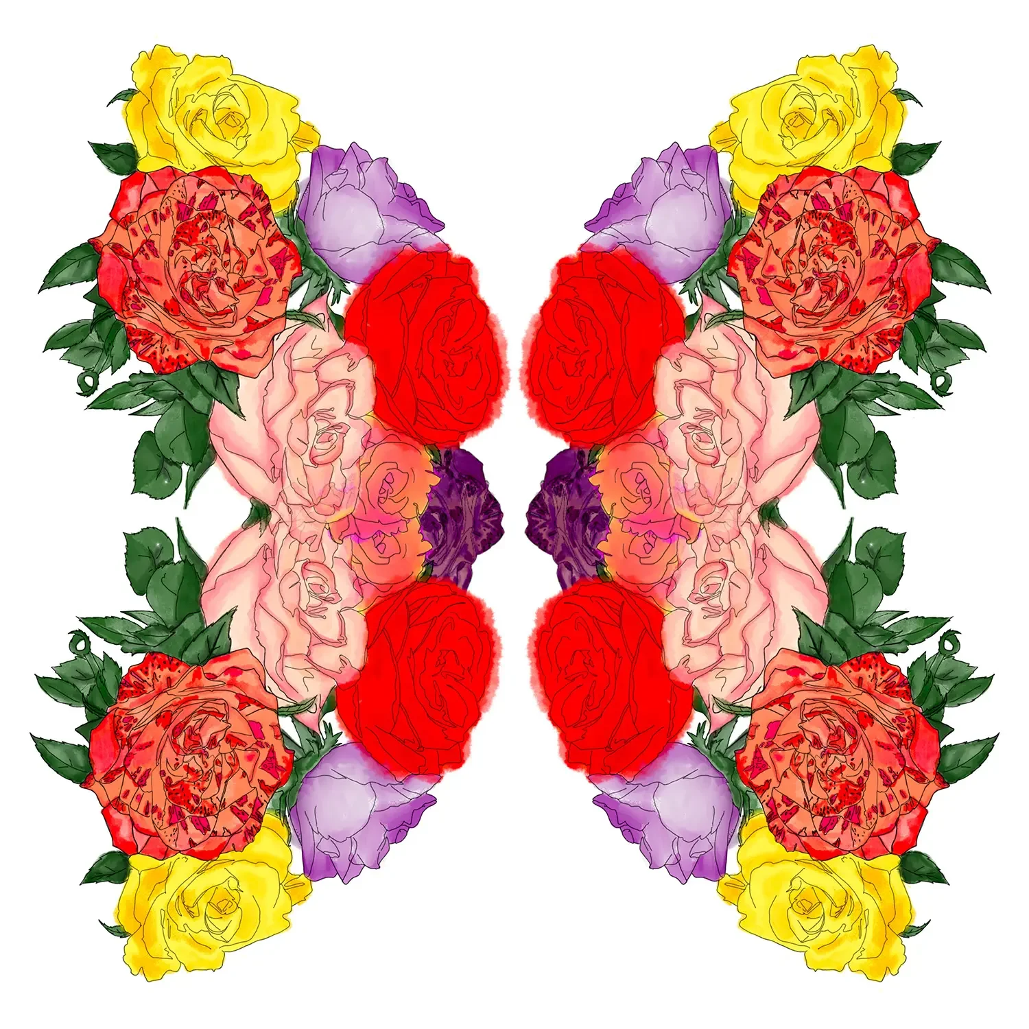 kaleirose4 mari rosa.webp